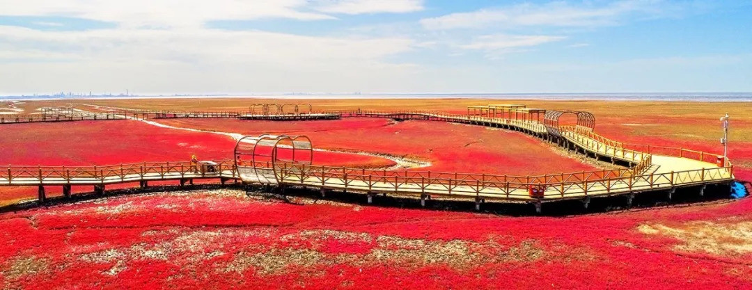 In addition to magnificent terraces and poplar forests, there are also these in China’s autumn scenery spots |