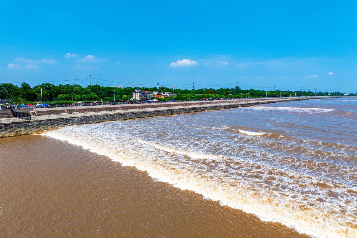 China Travel:Spectacular Qiantang River tidal bore wows visitors